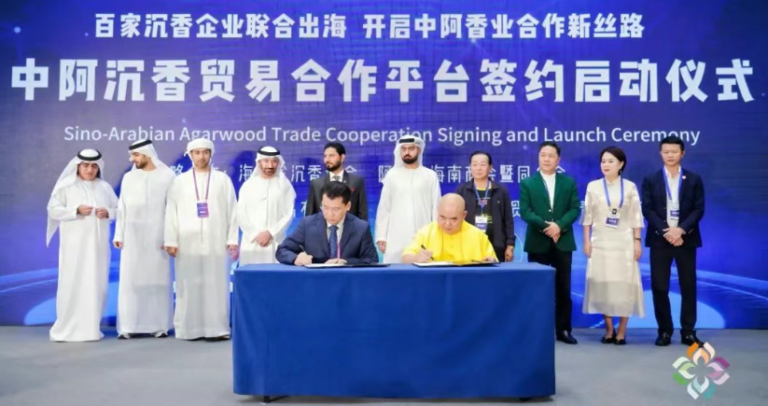 海南广西两省携手沉香出海