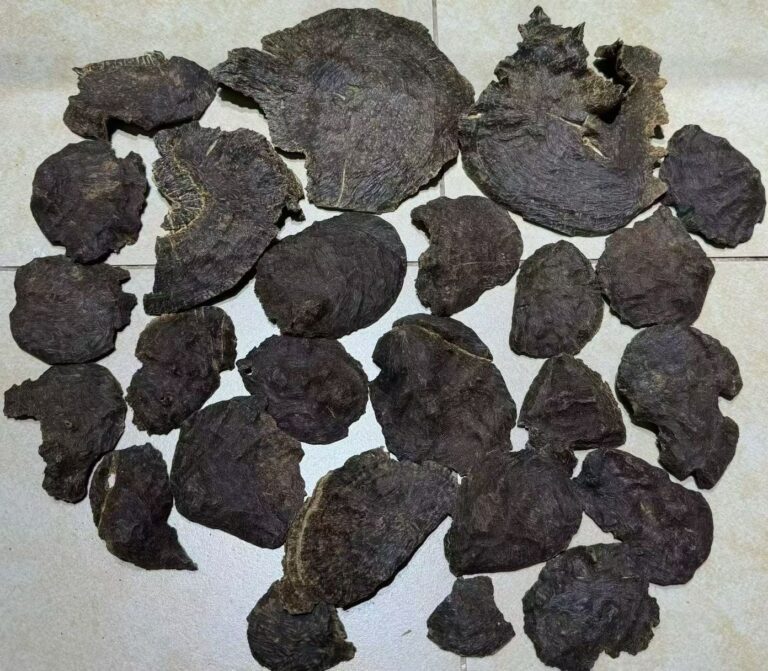 琼中：沉香产业成乡村振兴新引擎