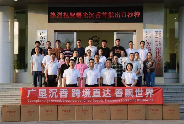 沉香出海：广东农垦沉香出口 “零突破”
