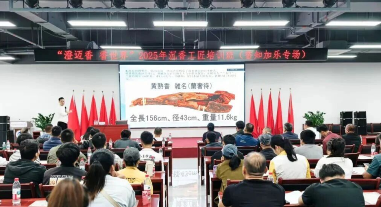 “澄迈香•香世界”2025年沉香工匠培训班启动