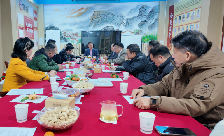 汪科元：积极推动“世界沉香·伽楠香观珠风情街”项目建设