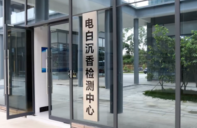 观珠+沙琅“双镇合璧”打造“中国沉香第一极”