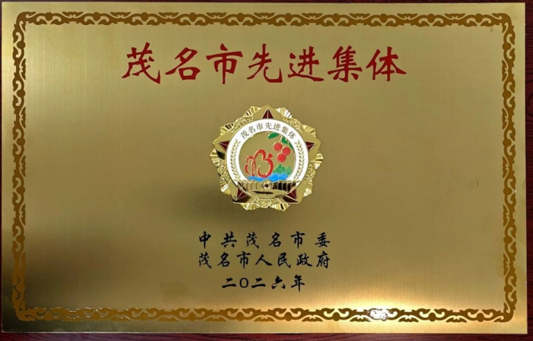 电白沉香集团市场运营部荣获“茂名市先进集体”称号