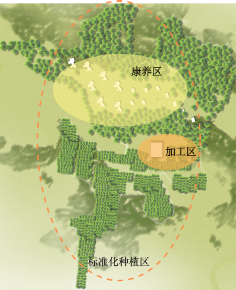 海南澄迈万亩白木香与康养融合发展项目开工建设