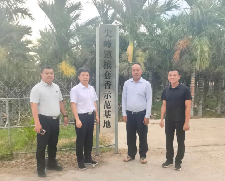 中国热科院戴好富指导尖峰沉香产业高质量发展