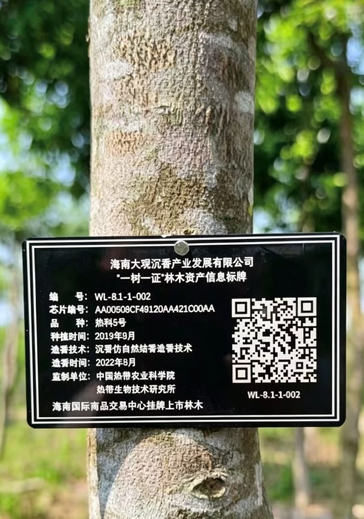 海南大观沉香公司“一树一证”林木资产信息标牌