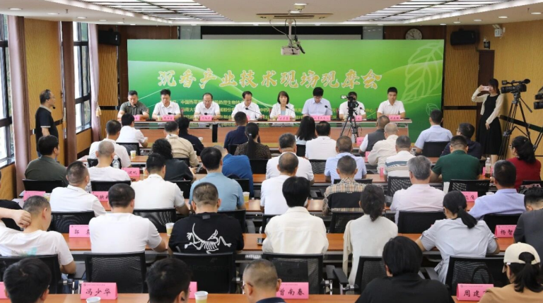 海南琼中举办2026年沉香产业技术现场观摩会